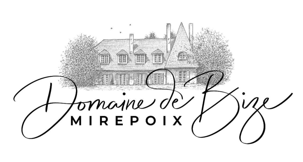 Manoir Et Appartements Avec Piscine Au Domaine De Bize Mirepoix Мирпуа Экстерьер фото